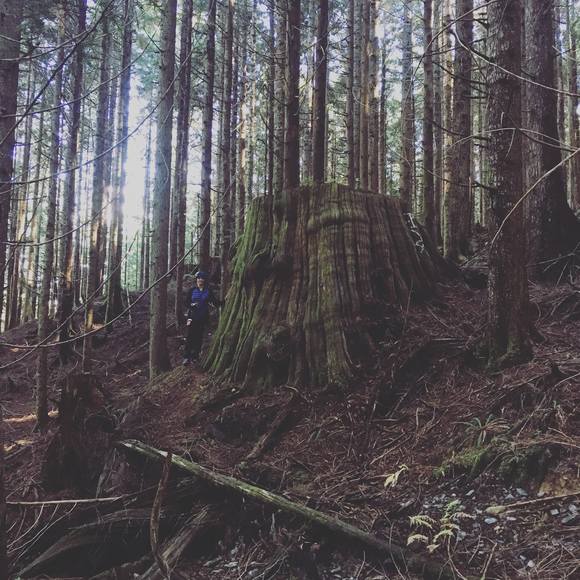 Meet your Posher, Heather - Picture 1 of 1